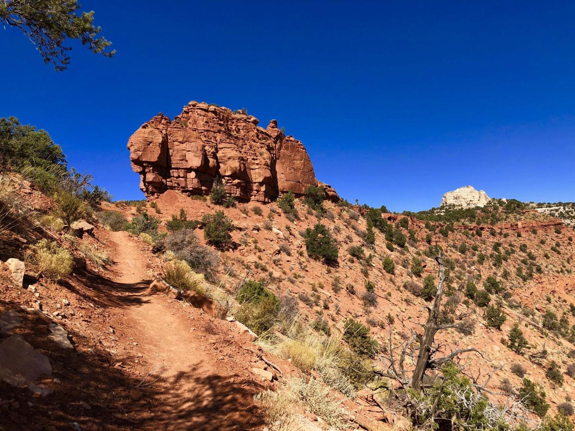 Luxury Pet Friendly Holiday Home La Estancia Kanab Exterior photo