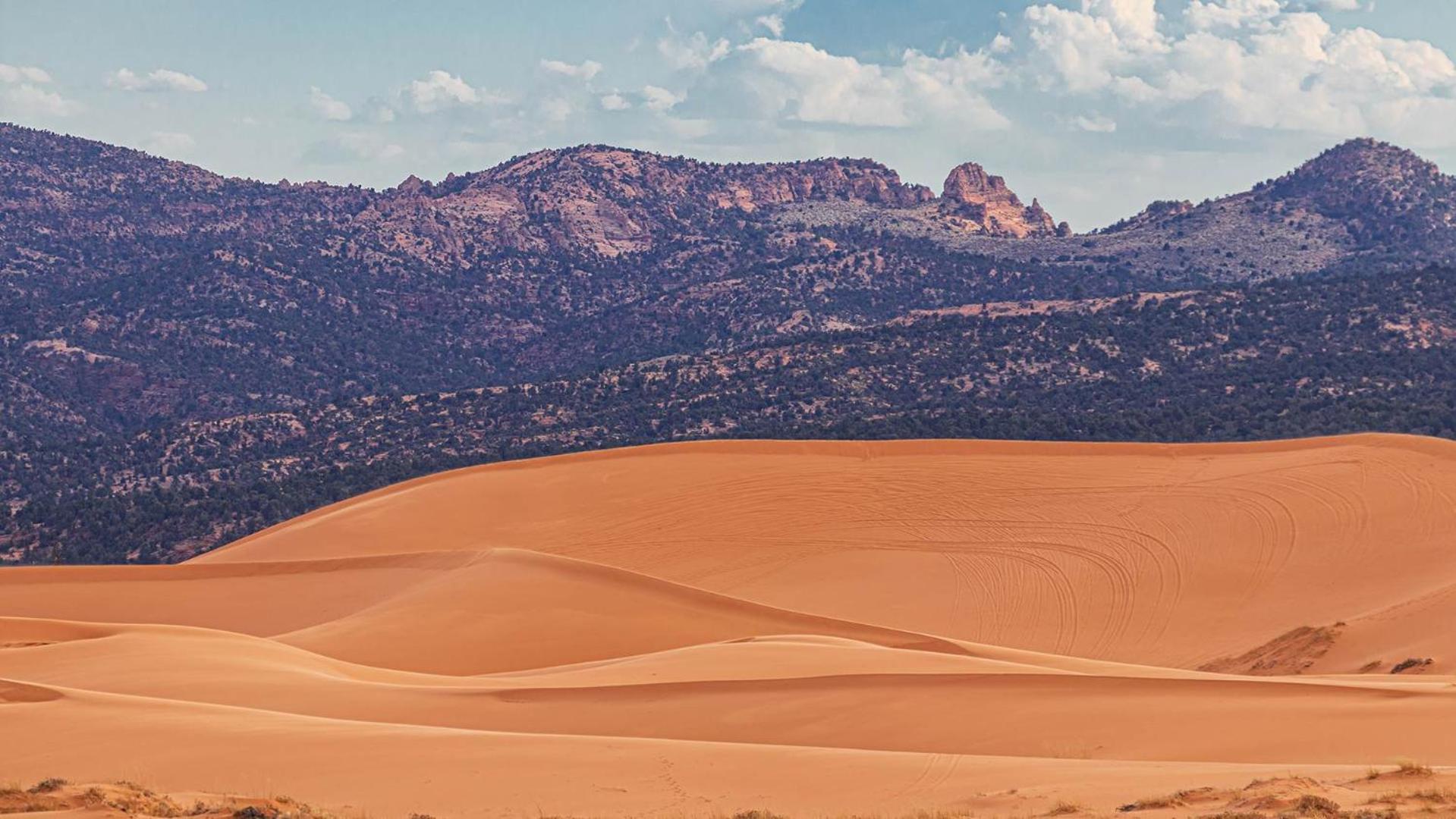 Luxury Pet Friendly Holiday Home La Estancia Kanab Exterior photo